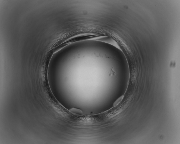 X0000096170497200801181253