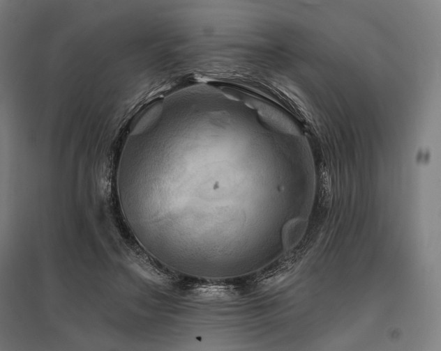 X0000096170499200801181253