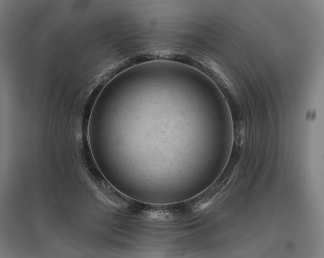 X0000096170500200801181253