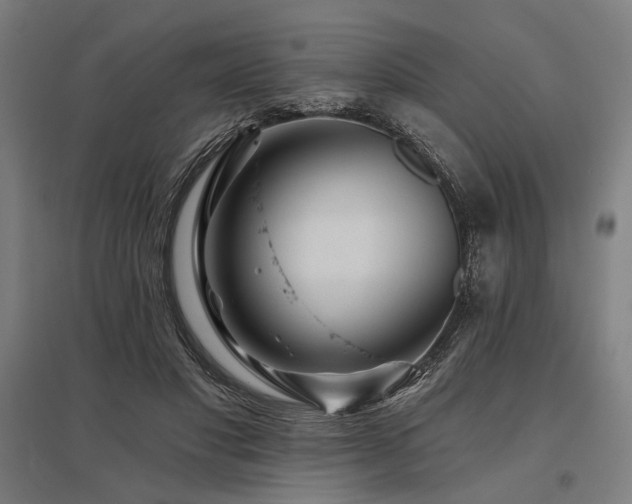 X0000096170501200801181253