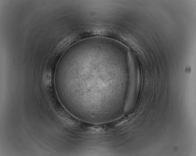 X0000096170502200801181253