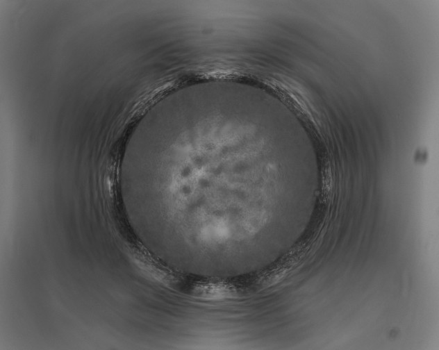 X0000096170503200801181253