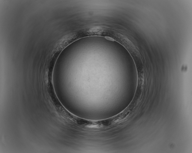 X0000096170504200801181253