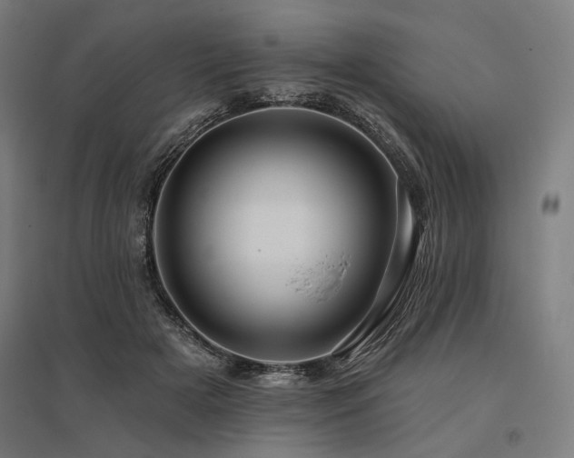X0000096170505200801181253