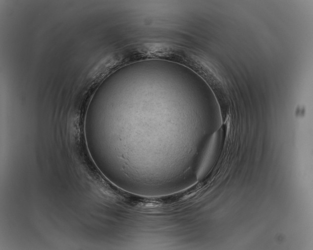 X0000096170506200801181253