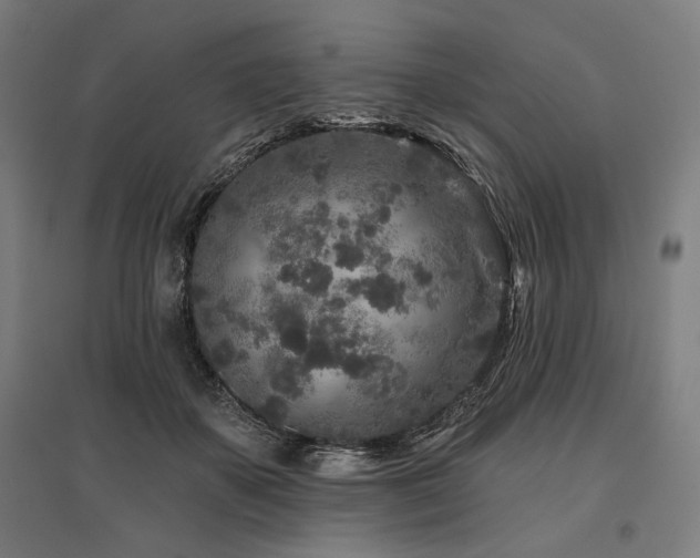X0000096170507200801181253