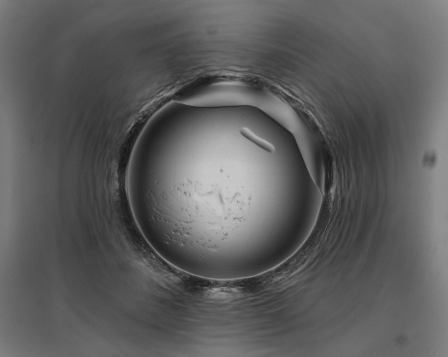 X0000096170508200801181253