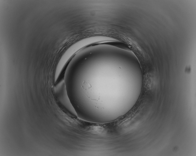 X0000096170509200801181253
