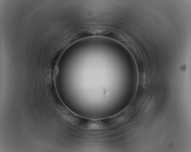 X0000096170510200801181253