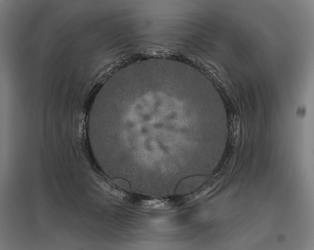 X0000096170511200801181253