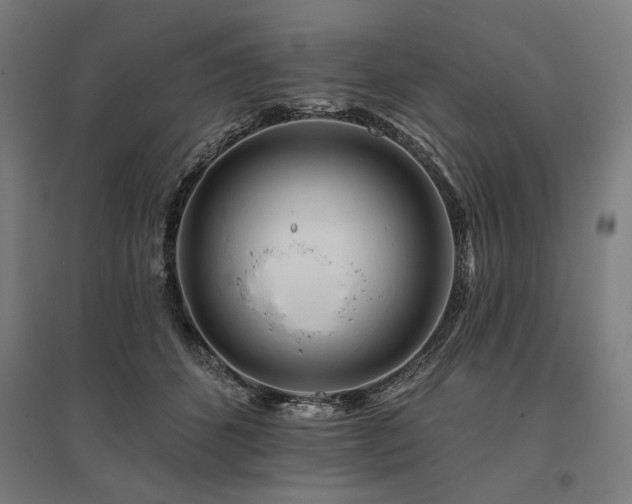 X0000096170512200801181253
