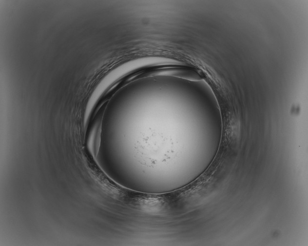 X0000096170513200801181253