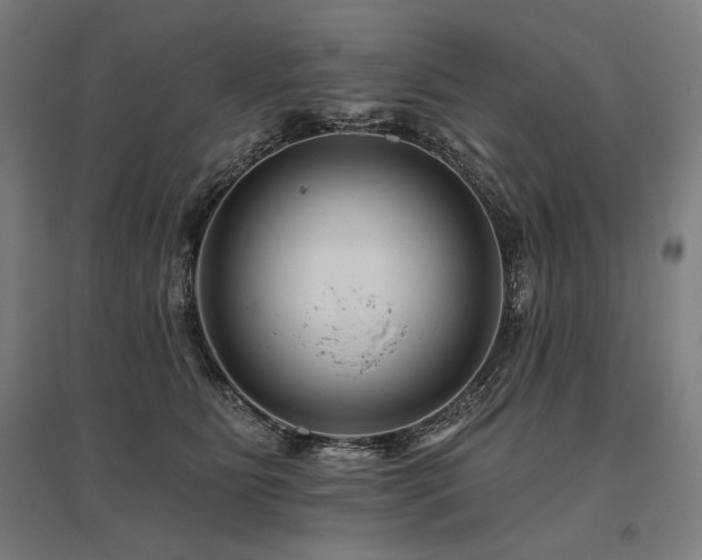 X0000096170515200801181253