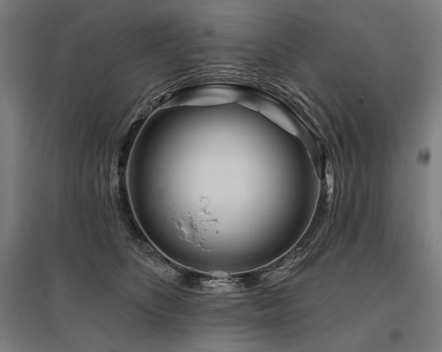 X0000096170516200801181253