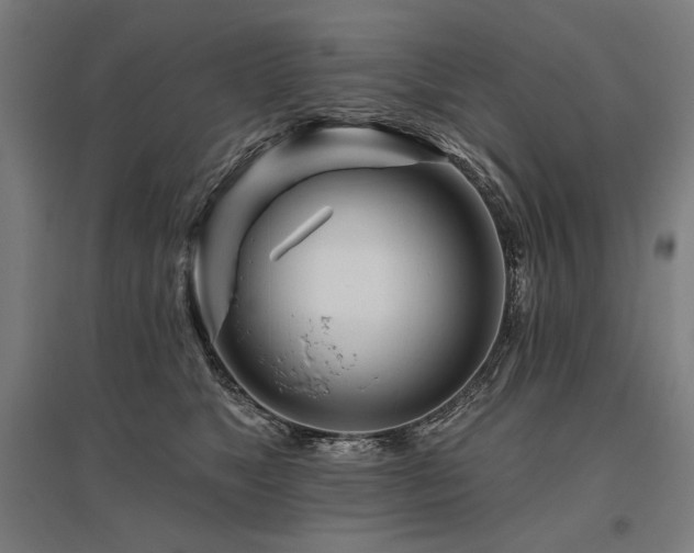 X0000096170517200801181253