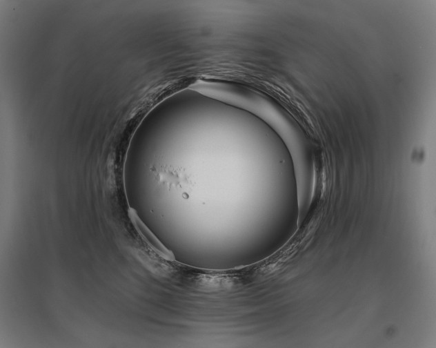 X0000096170520200801181252