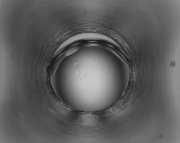 X0000096170521200801181252