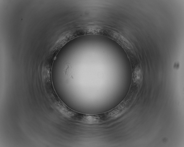 X0000096170522200801181252