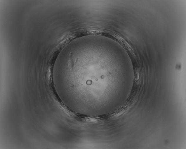 X0000096170523200801181252
