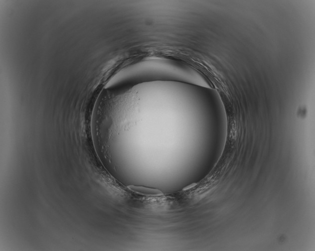 X0000096170524200801181252