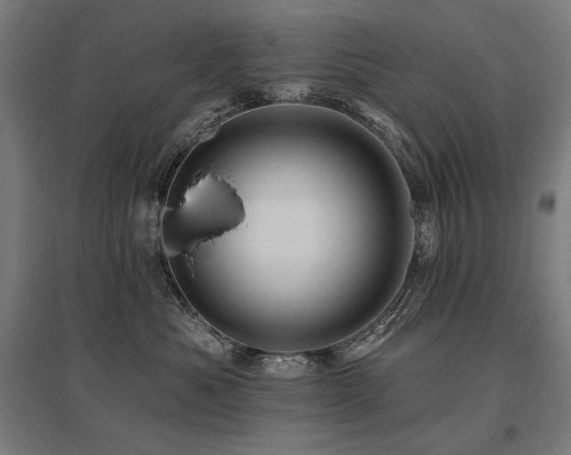 X0000096170525200801181252
