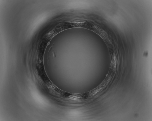 X0000096170526200801181252