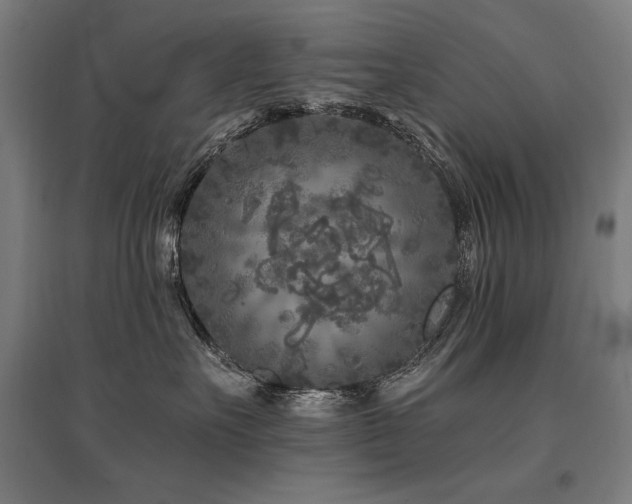 X0000096170527200801181252