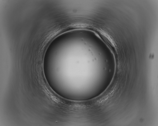 X0000096170529200801181252