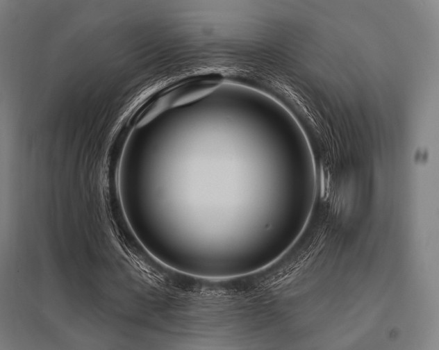 X0000096170531200801181252
