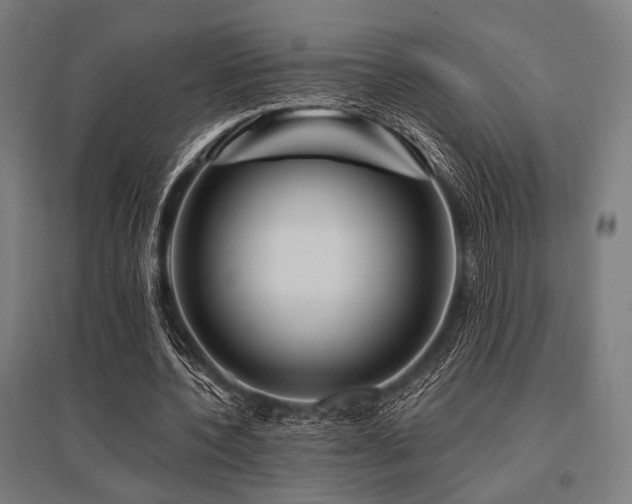 X0000096170532200801181252