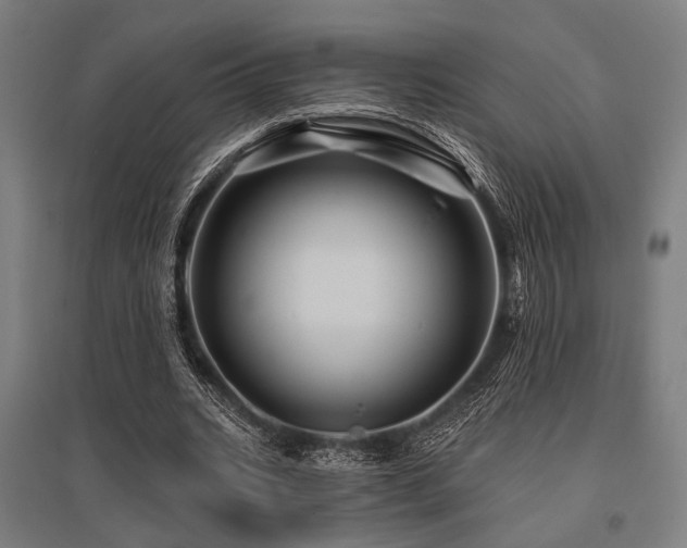 X0000096170535200801181252