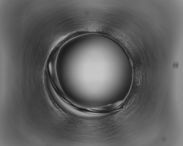 X0000096170536200801181252