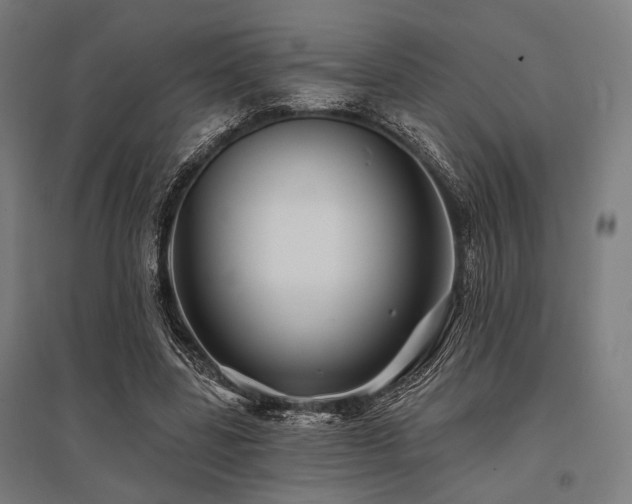 X0000096170539200801181252