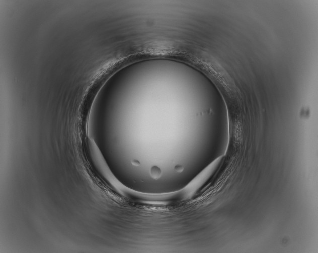 X0000096170540200801181252