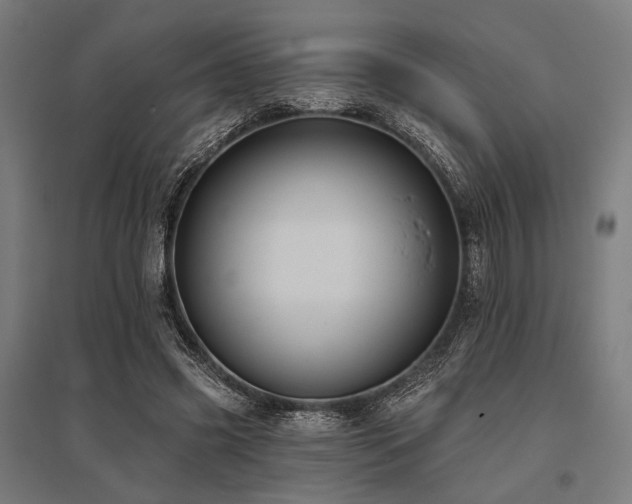 X0000096170541200801181252