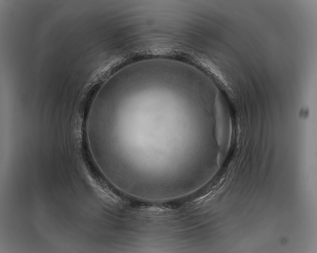 X0000096170542200801181252