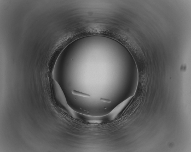 X0000096170544200801181252