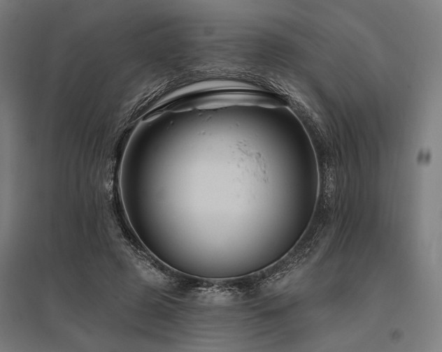 X0000096170545200801181252