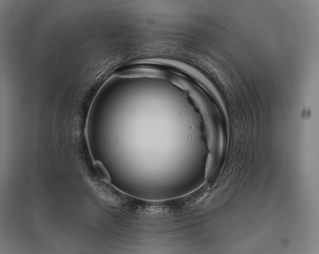 X0000096170546200801181252