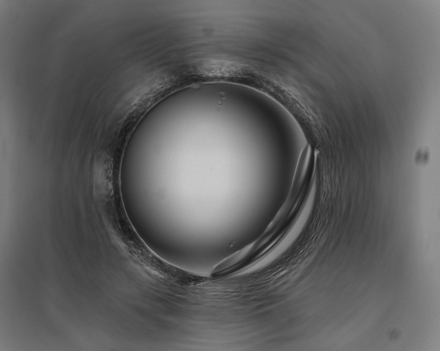 X0000096170547200801181252