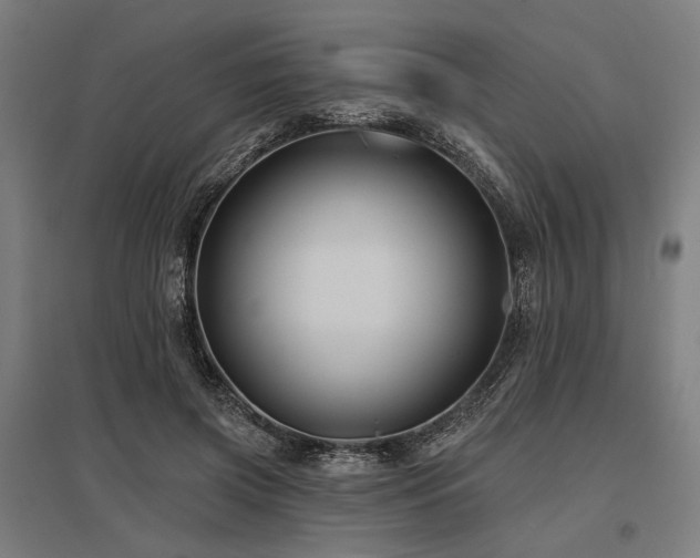 X0000096170549200801181252