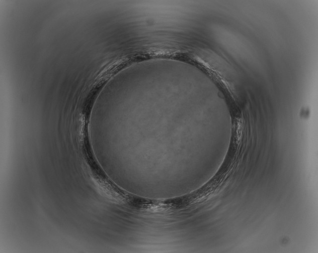 X0000096170550200801181252