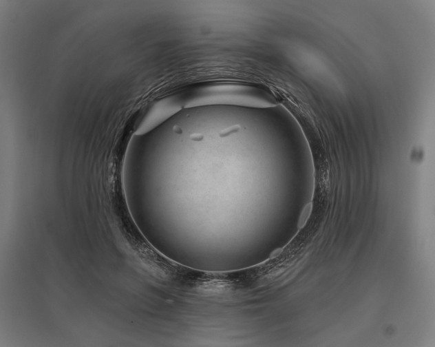 X0000096170551200801181252