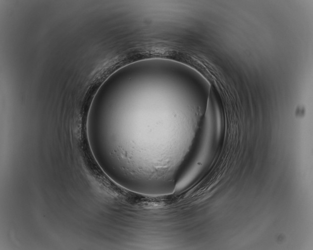 X0000096170552200801181252