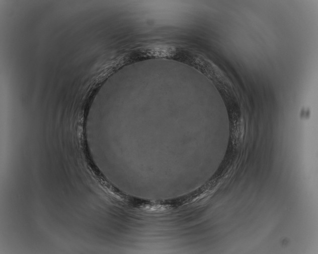 X0000096170553200801181252
