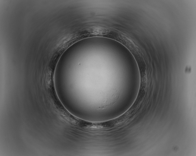 X0000096170554200801181252