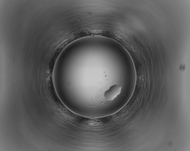 X0000096170555200801181252