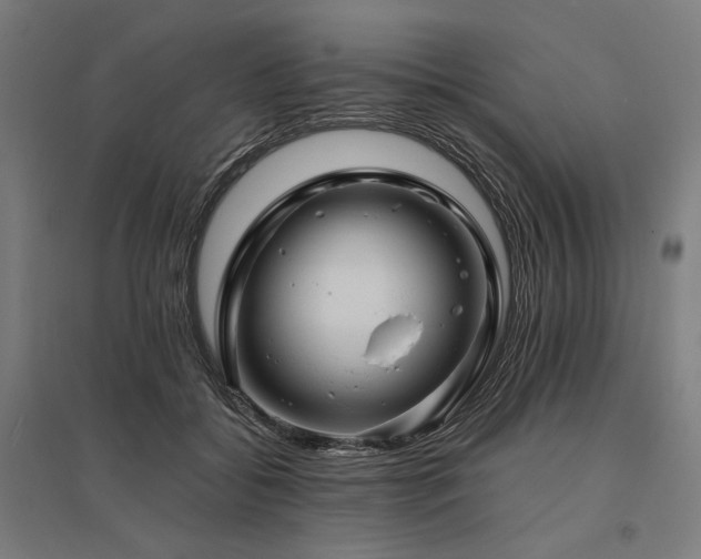 X0000096170556200801181252