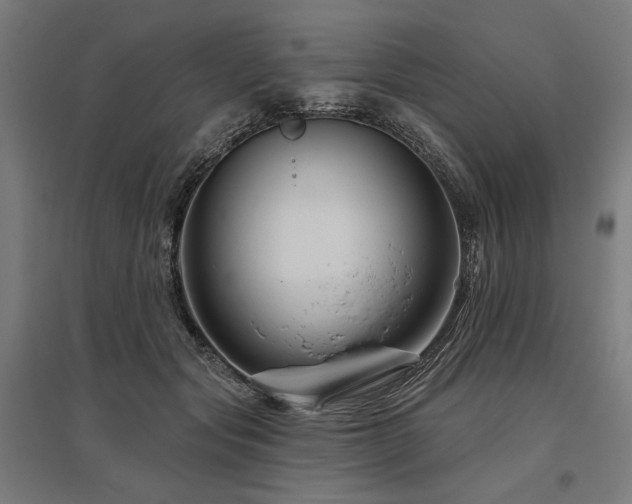 X0000096170557200801181252
