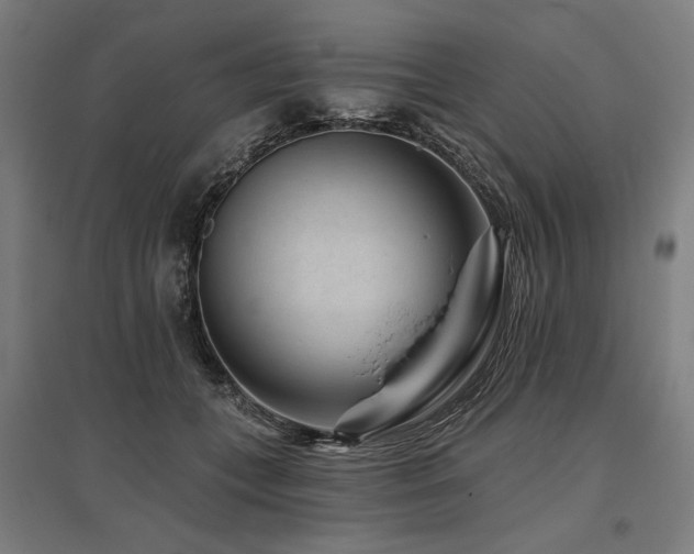 X0000096170559200801181252